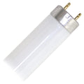 17 Watt 2 ft. T8 Fluorescent Tube Q44668