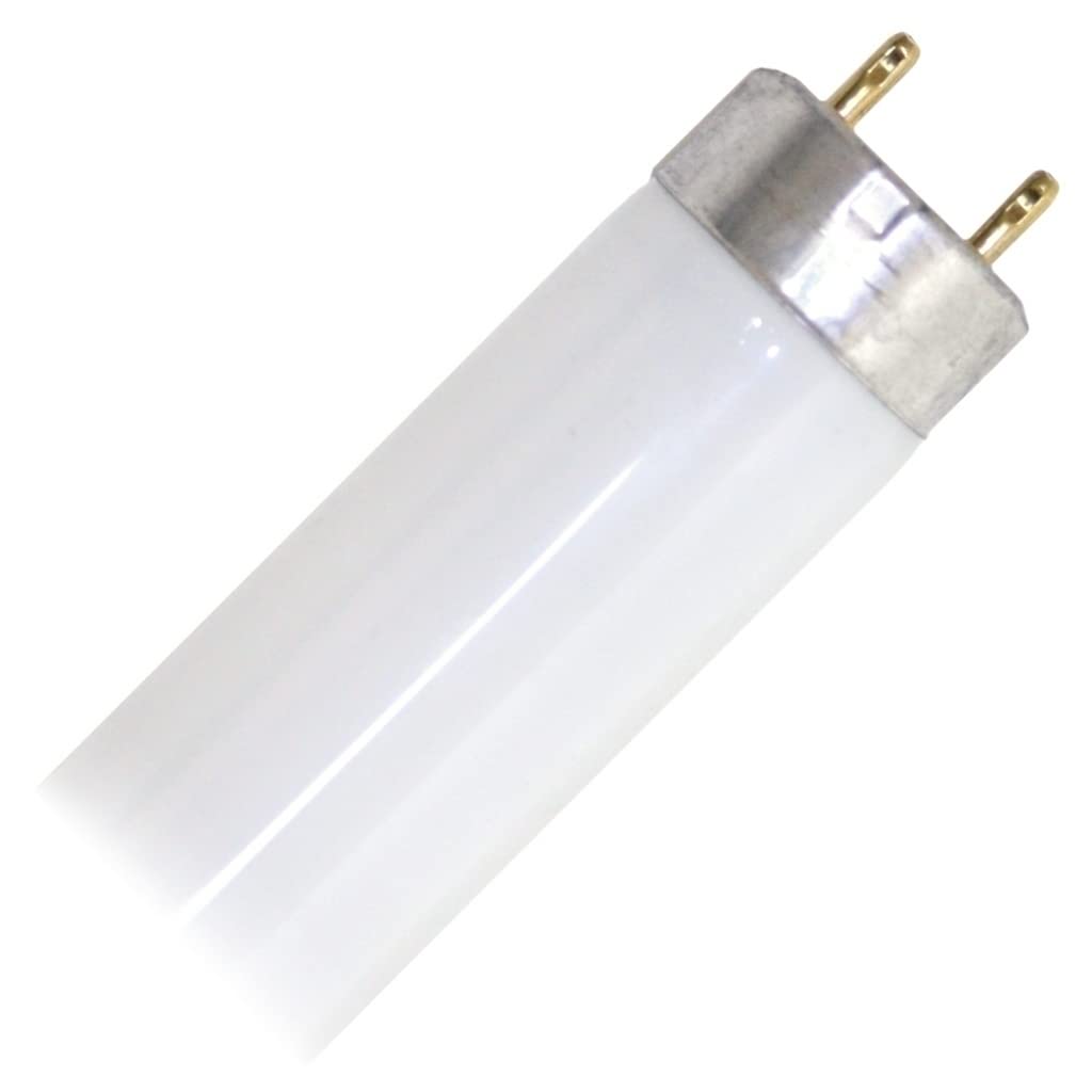 17 Watt 2 ft. T8 Fluorescent Tube Q44668