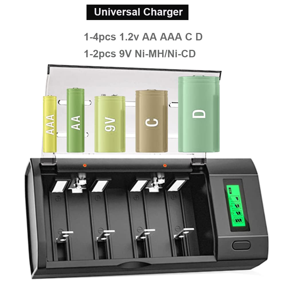 Rechargeable D Batteries with Charger D49497