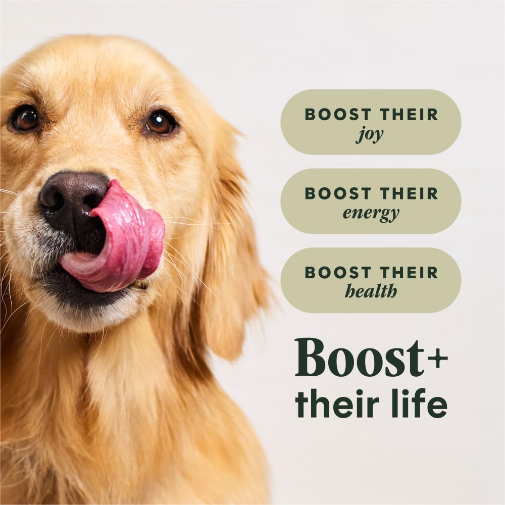 Chicken & Brown Rice Dry Dog Food 20 lb J3322