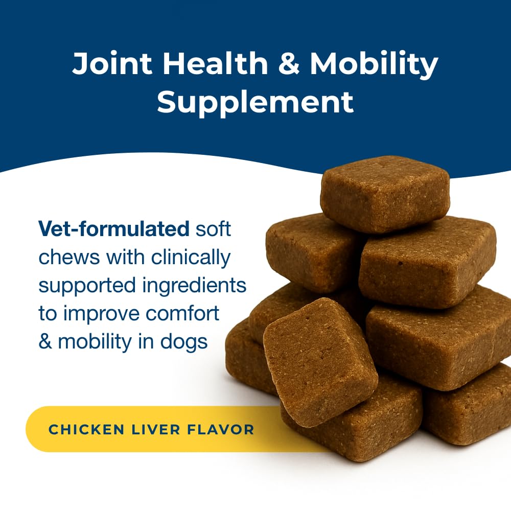 Joint Health & Mobility Soft Chews for Dogs 45 Count I58652