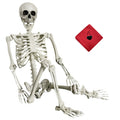 Life Size Skeleton with Posable Joints G9527