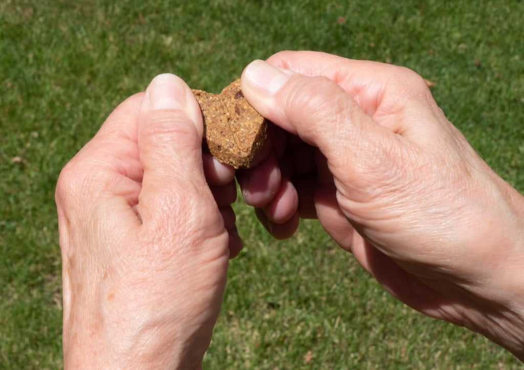 Roasted Duck Grain Free Dog Treats 2-Pack 36oz H4177