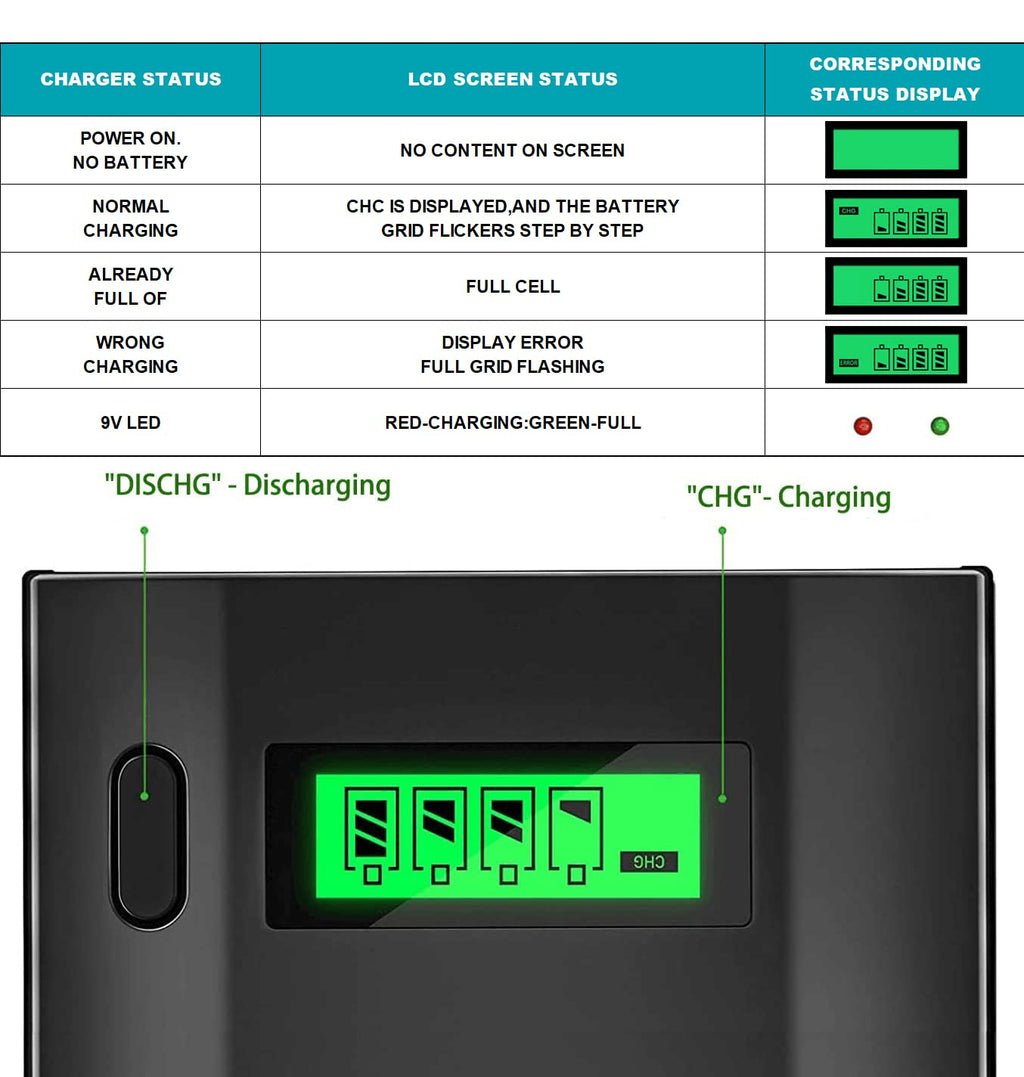 Rechargeable D Batteries with Charger D49497