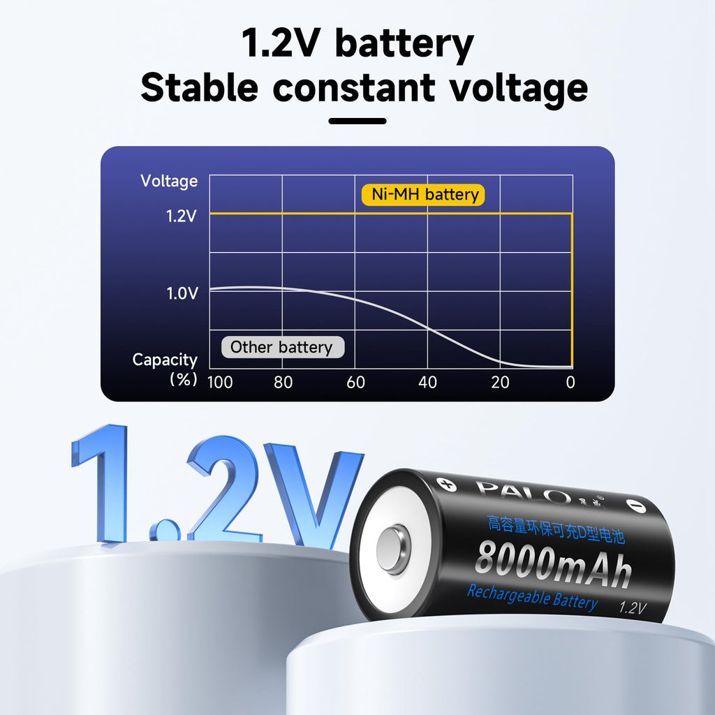Rechargeable D Batteries with Charger D49497