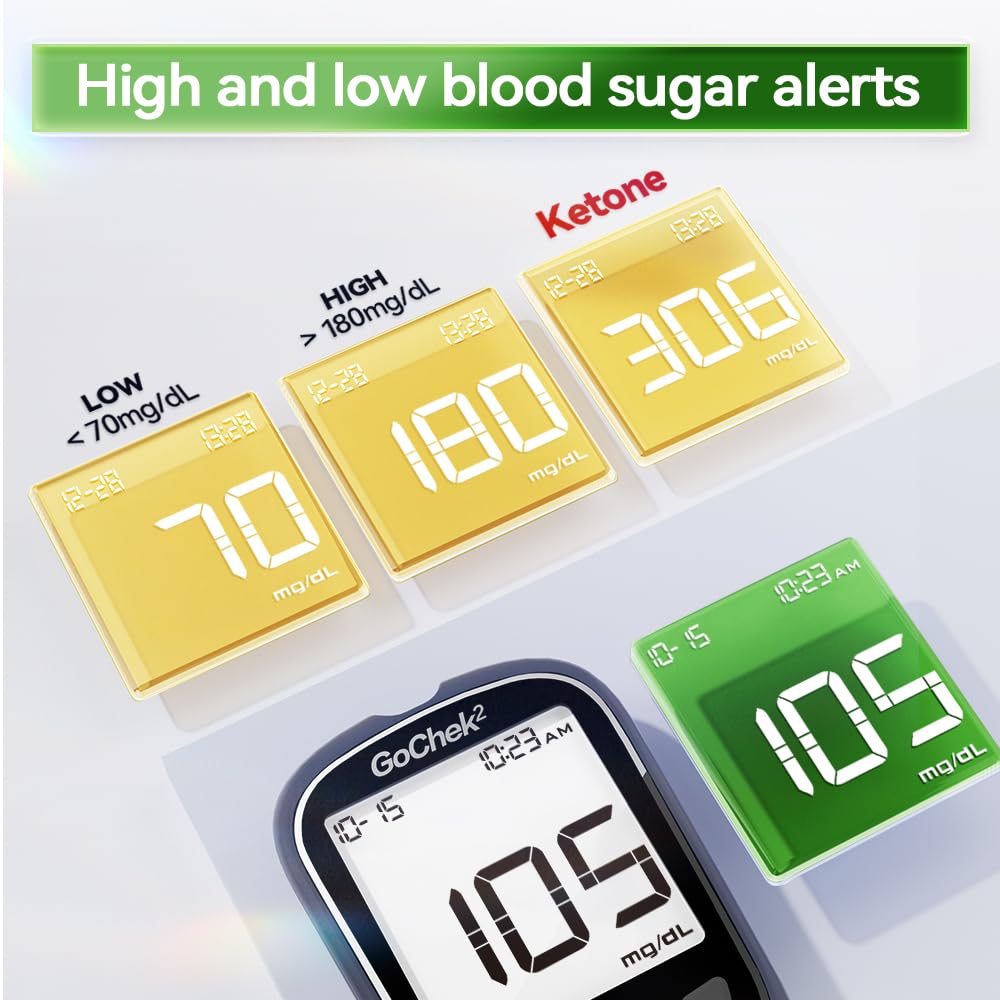 Blood Glucose Monitor Kit 100 Strips & Lancets H699339