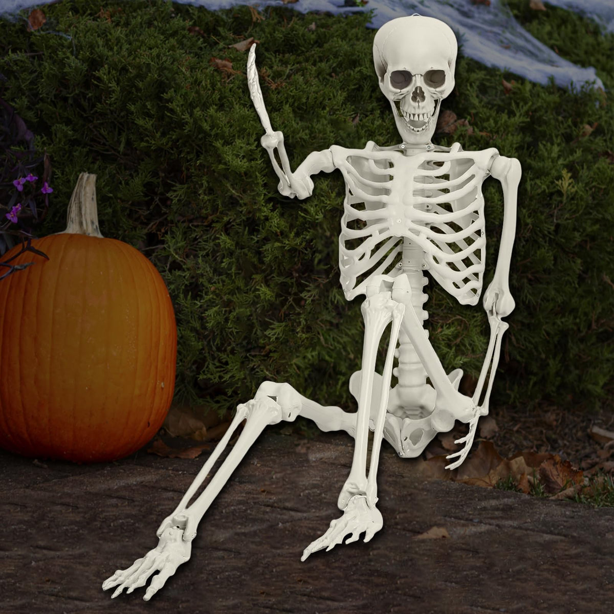 5.4FT Posable Skeleton A126