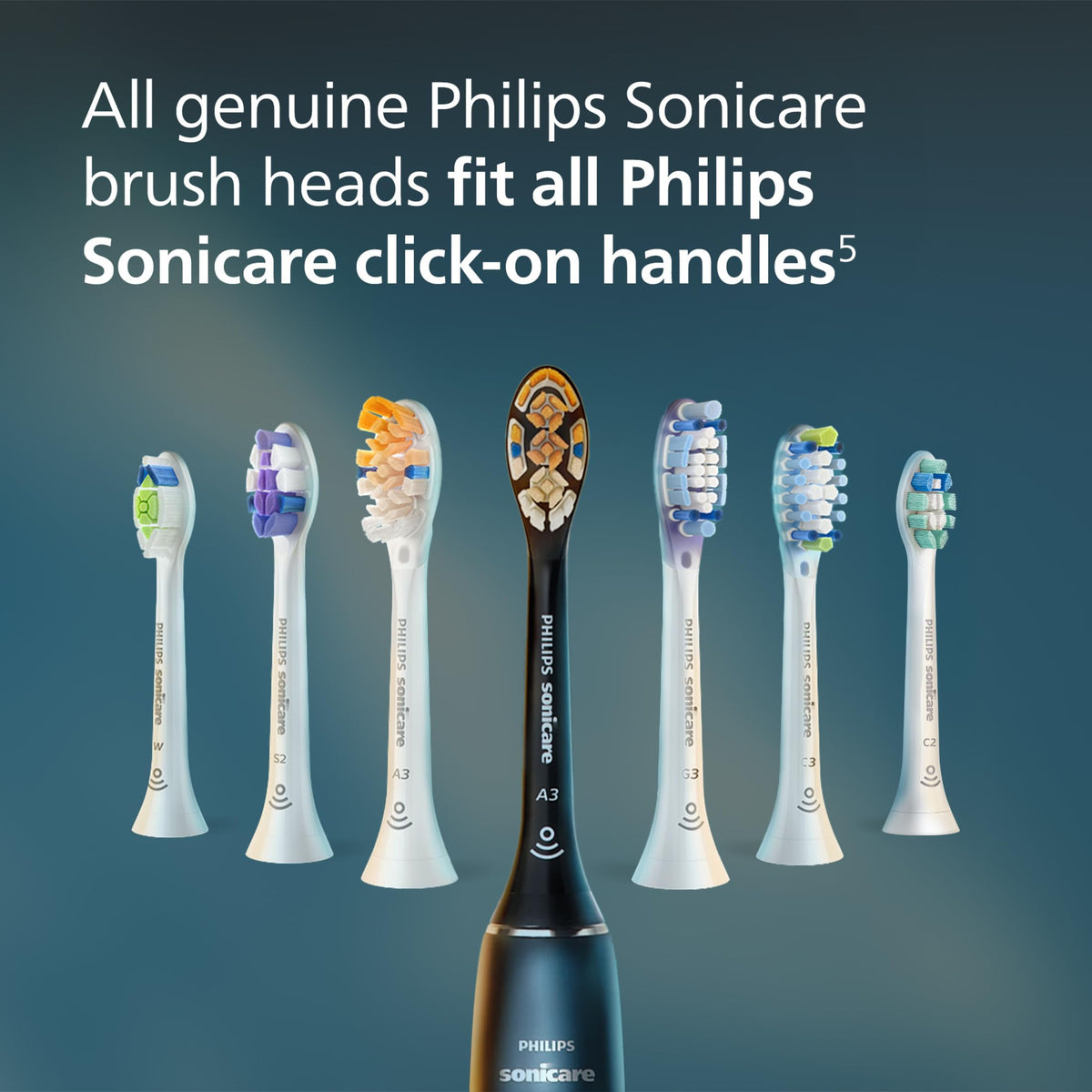 Black Brush Heads 2-Pack T258