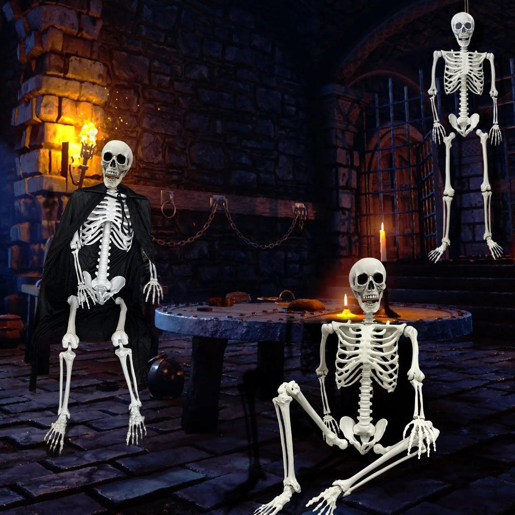 Life Size Skeleton with Posable Joints G9527