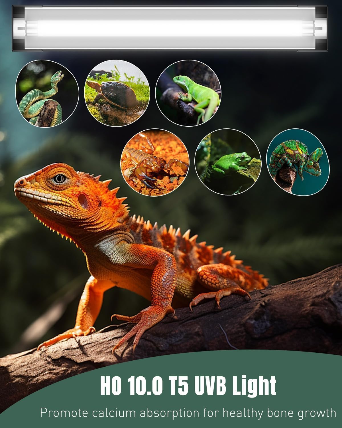 T5 Reptile Light Combo Kit with 2 UVB Tubes, 10.0 UVB Light Fixture, 12 inch K9324