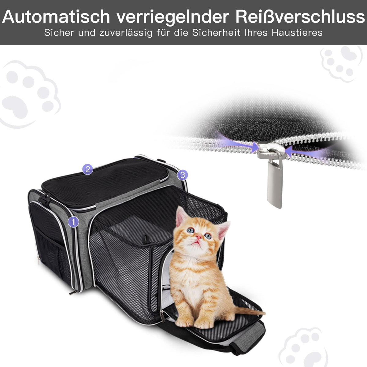 Airline Approved Soft Side Pet Carrier with Fleece Pad X487