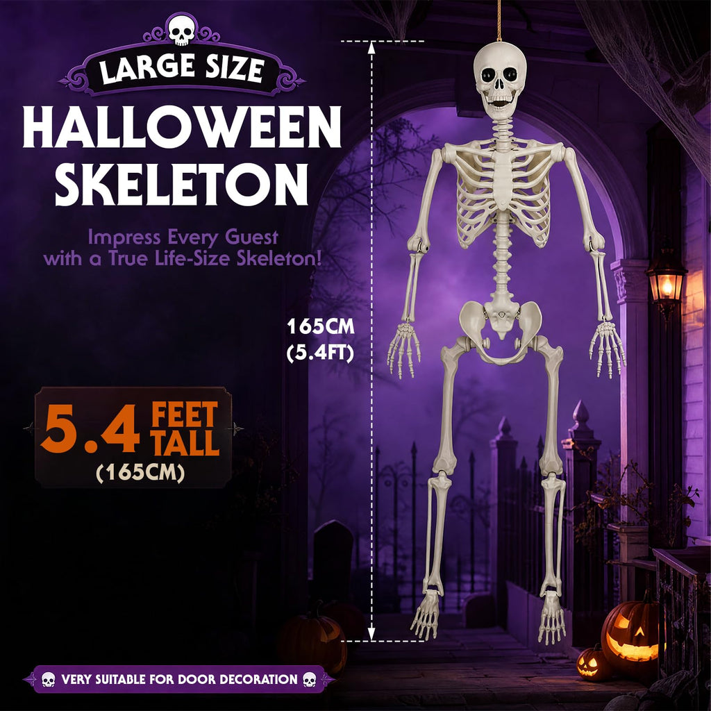 5.4FT Posable Life Size Skeleton (2PCS) T885
