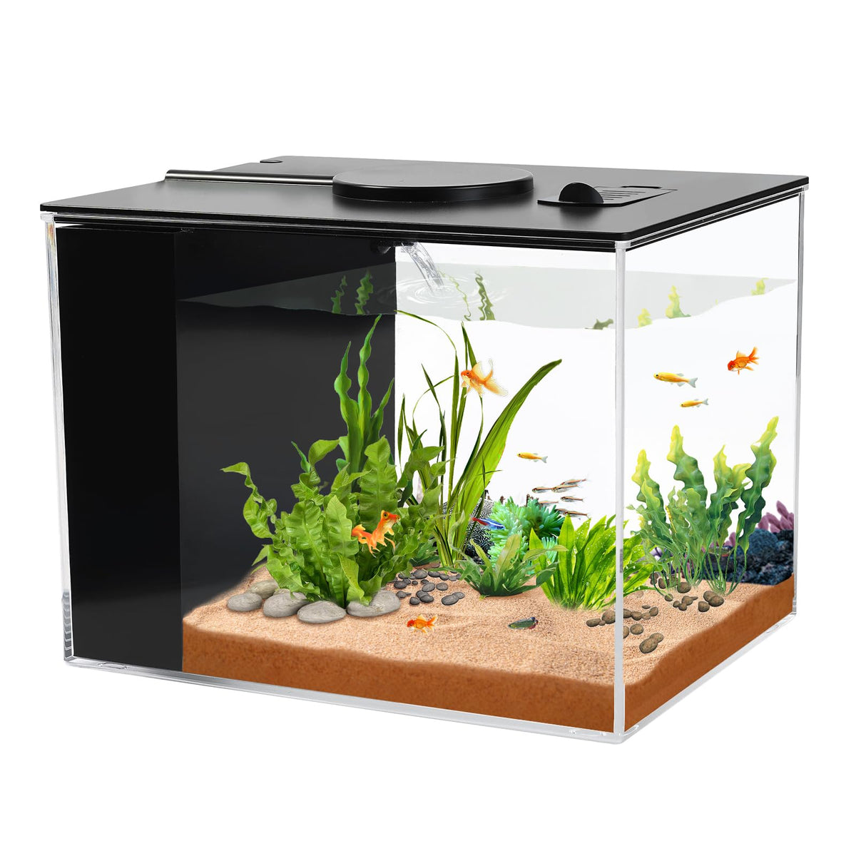 1 Gallon Betta Fish Tank with LED Light and Water Filter Pump Q19135