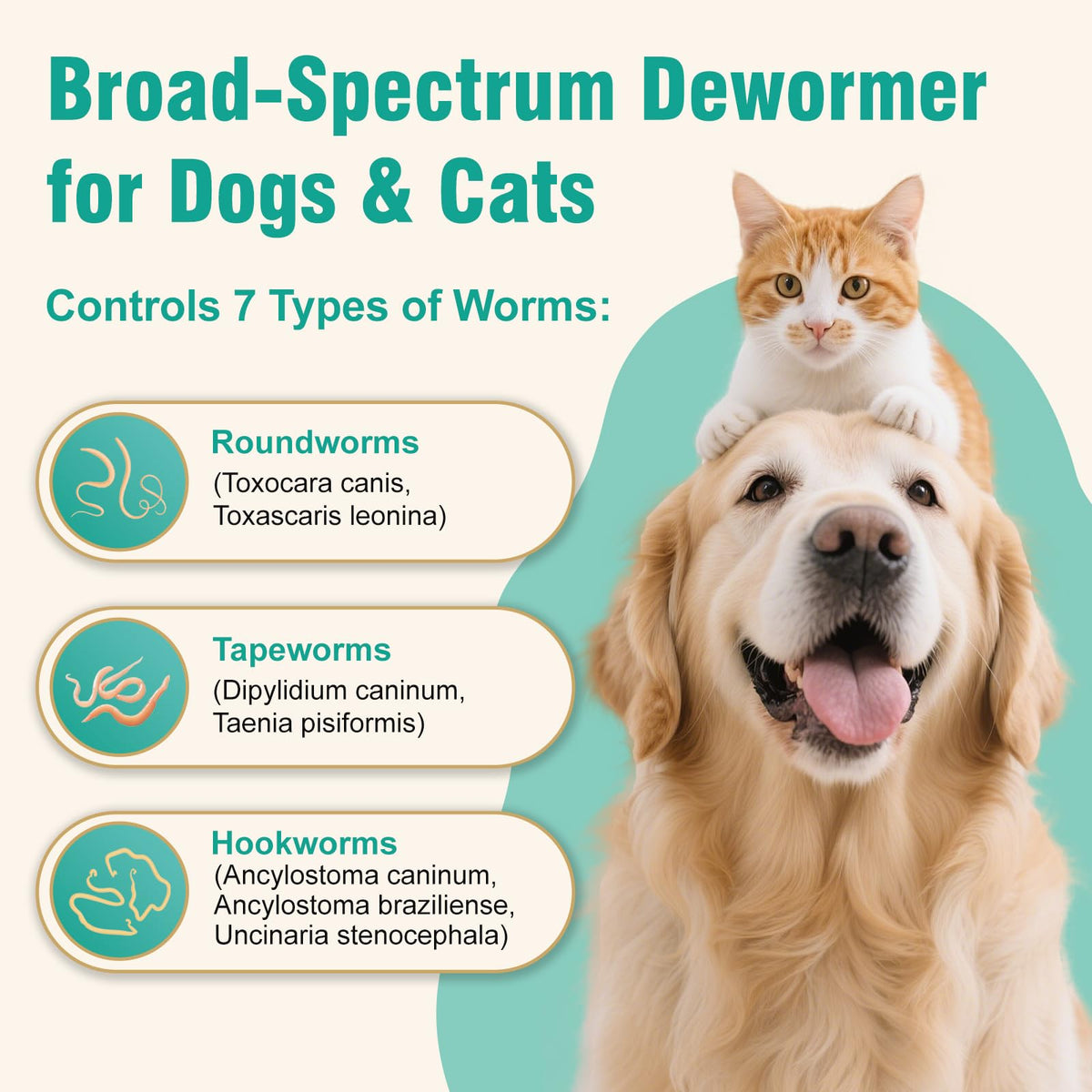 3-Way Dewormer for Dogs & Cats with Praziquantel & Pyrantel Pamoate Y55592