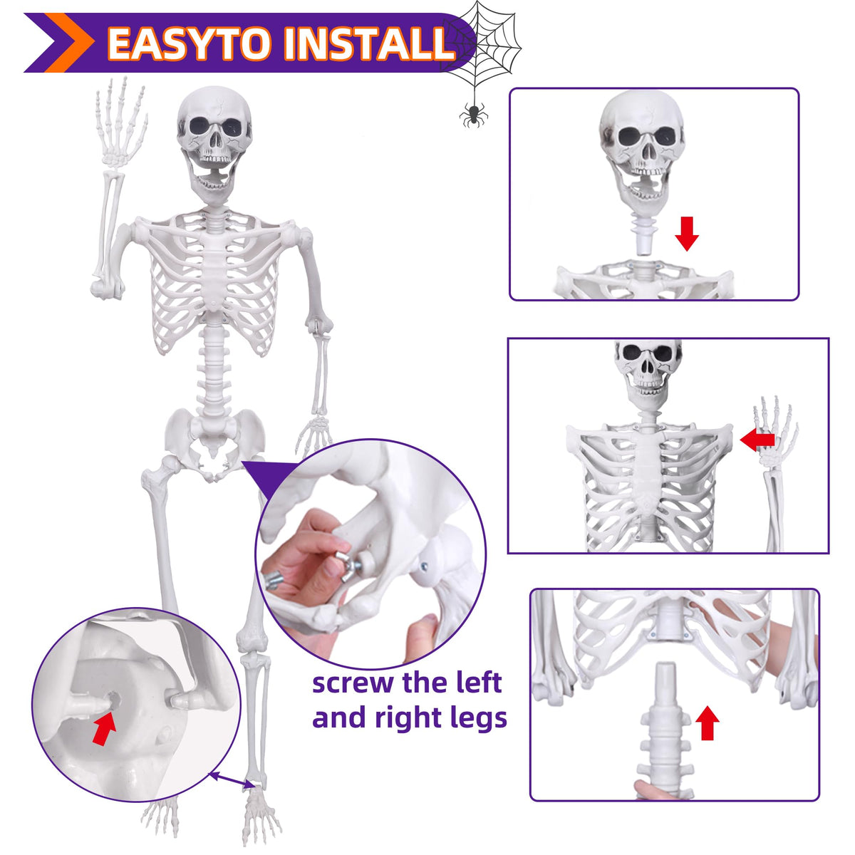 Life Size Skeleton with Posable Joints G9527