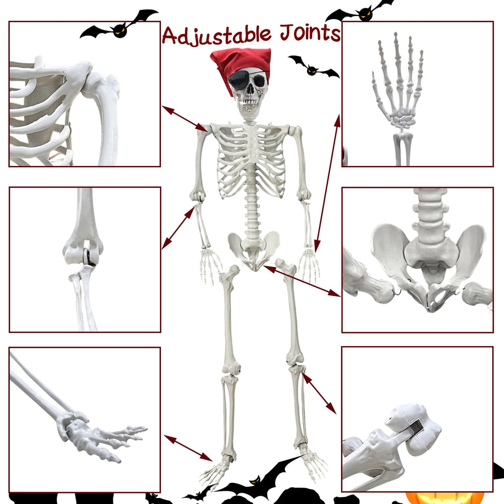 Life Size Skeleton with Posable Joints G9527