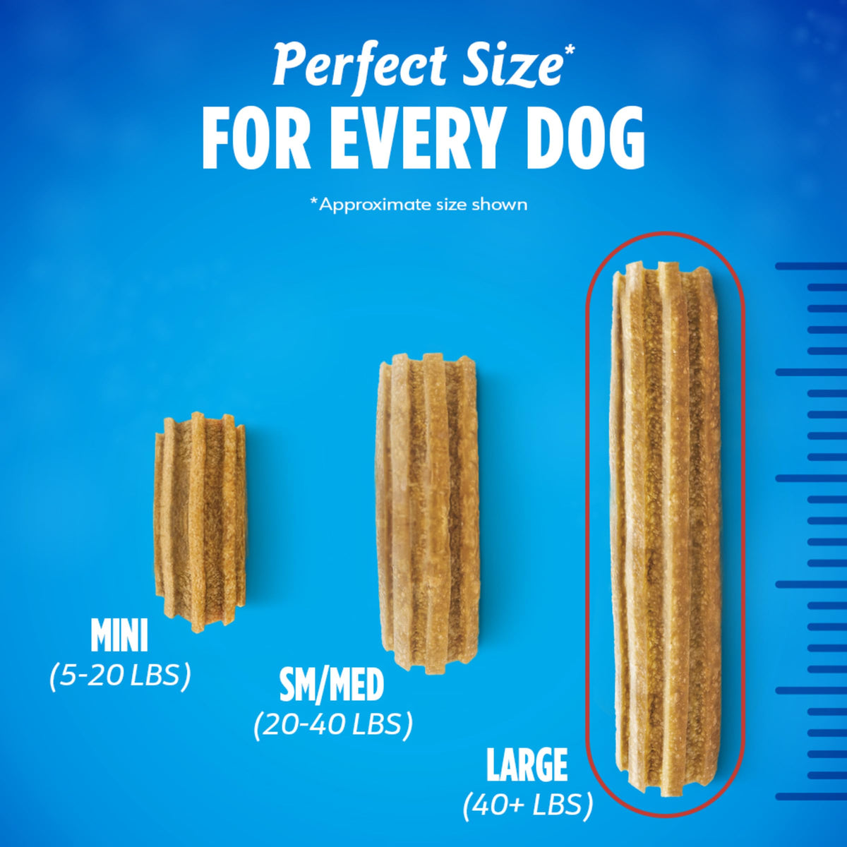 Daily Dental Chews for Large Dogs, 18 ct G734553