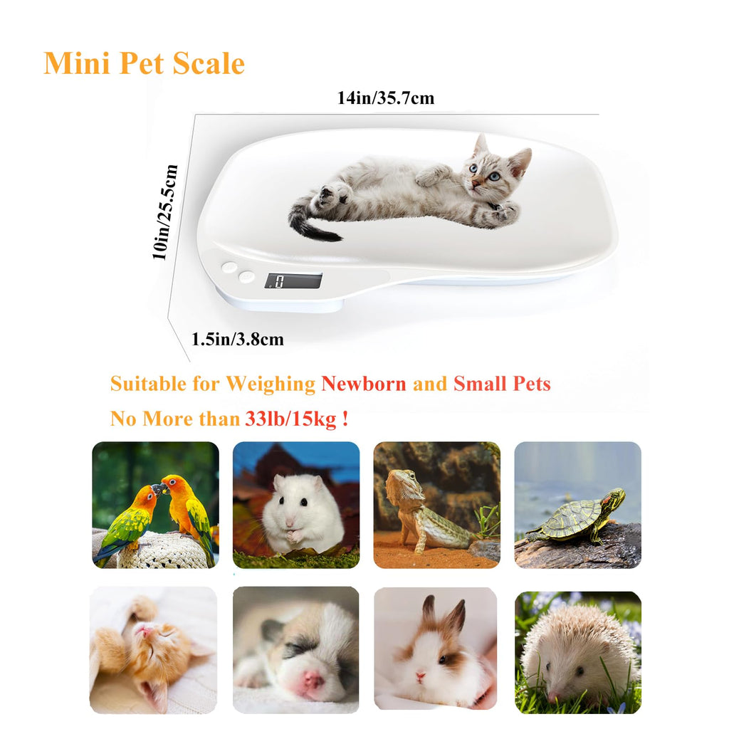 Digital Pet Scale 33lb Y4738