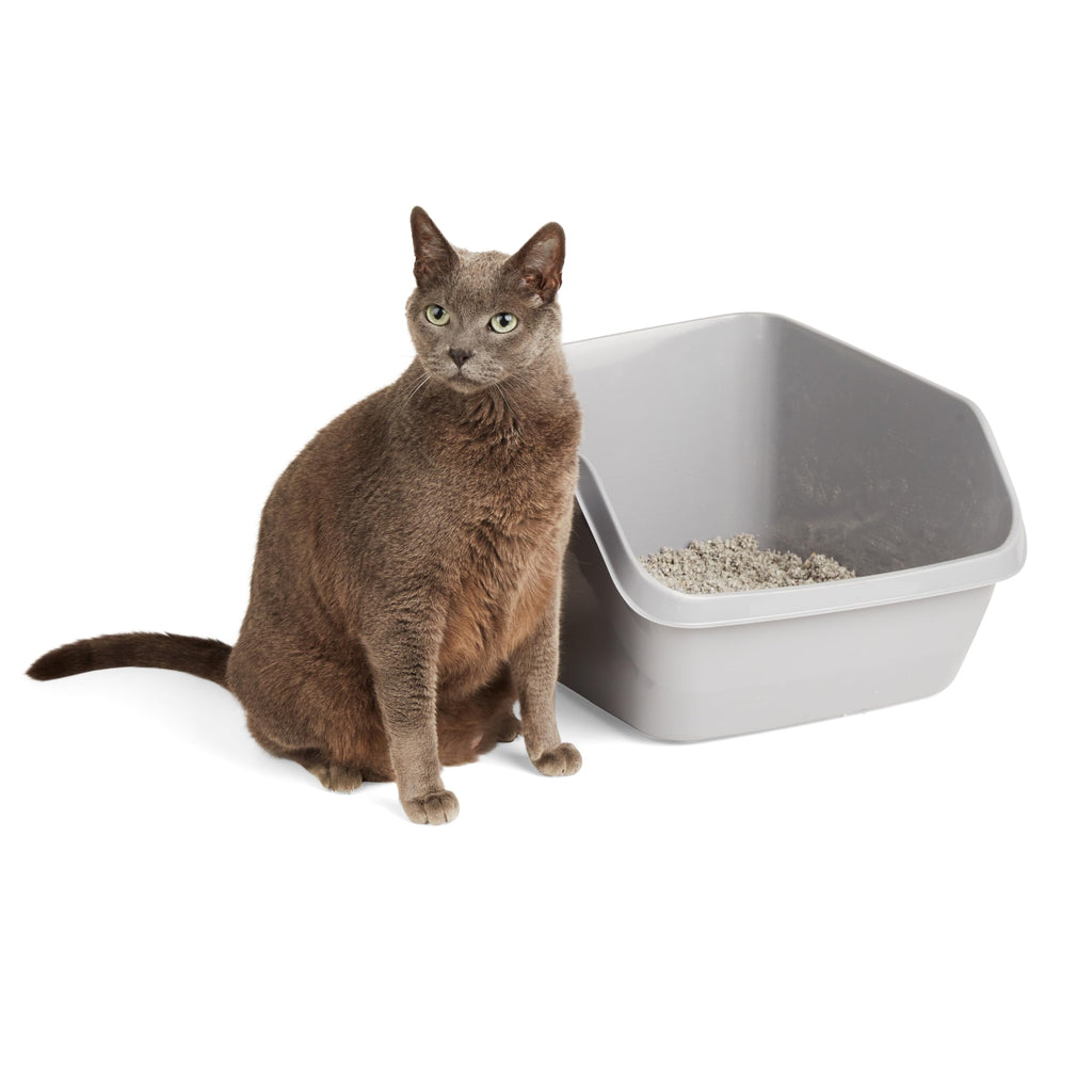 Grey Large High-Back Litter Box O82310