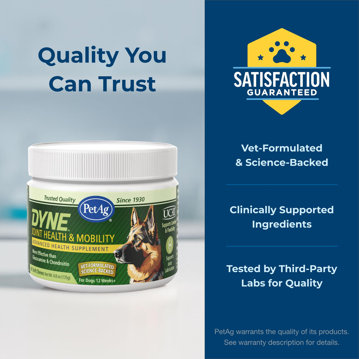Joint Health & Mobility Soft Chews for Dogs 45 Count I58652