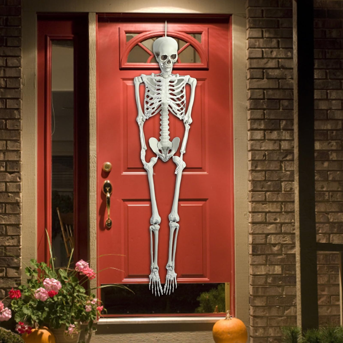 5.4FT Posable Skeleton A126
