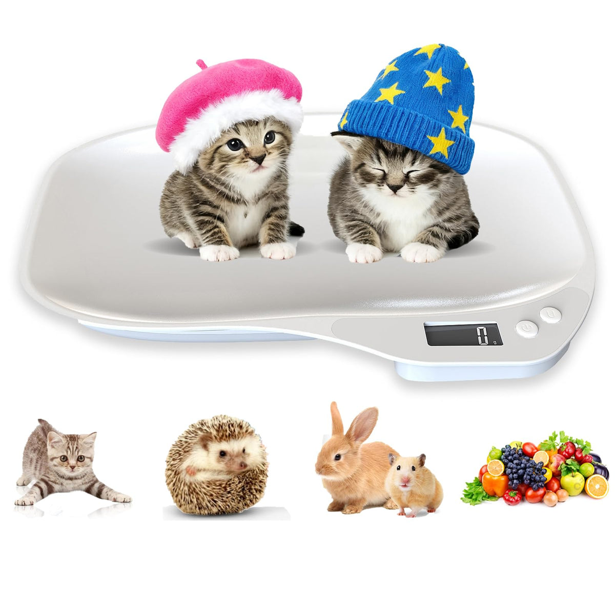Digital Pet Scale 33lb Y4738