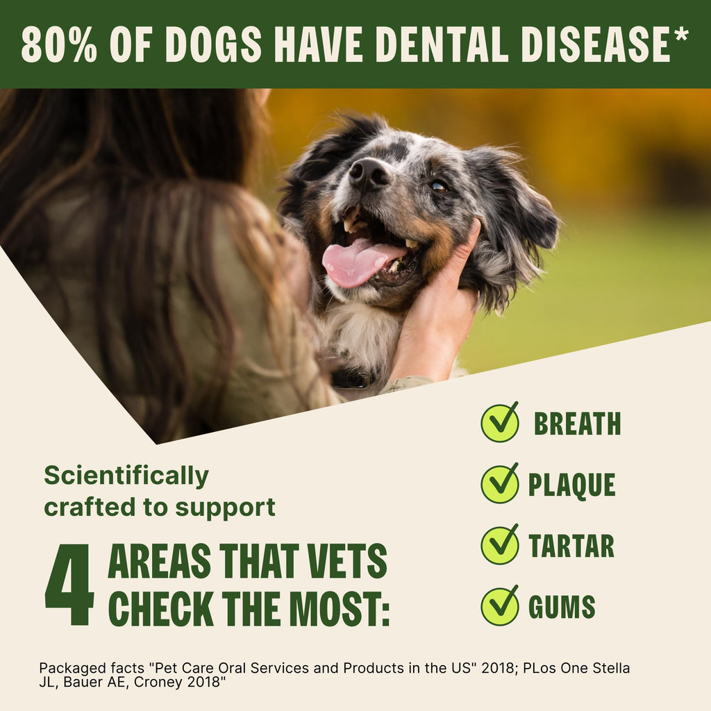 Natural Dog Dental Treat 12.7 oz 48 Count K693