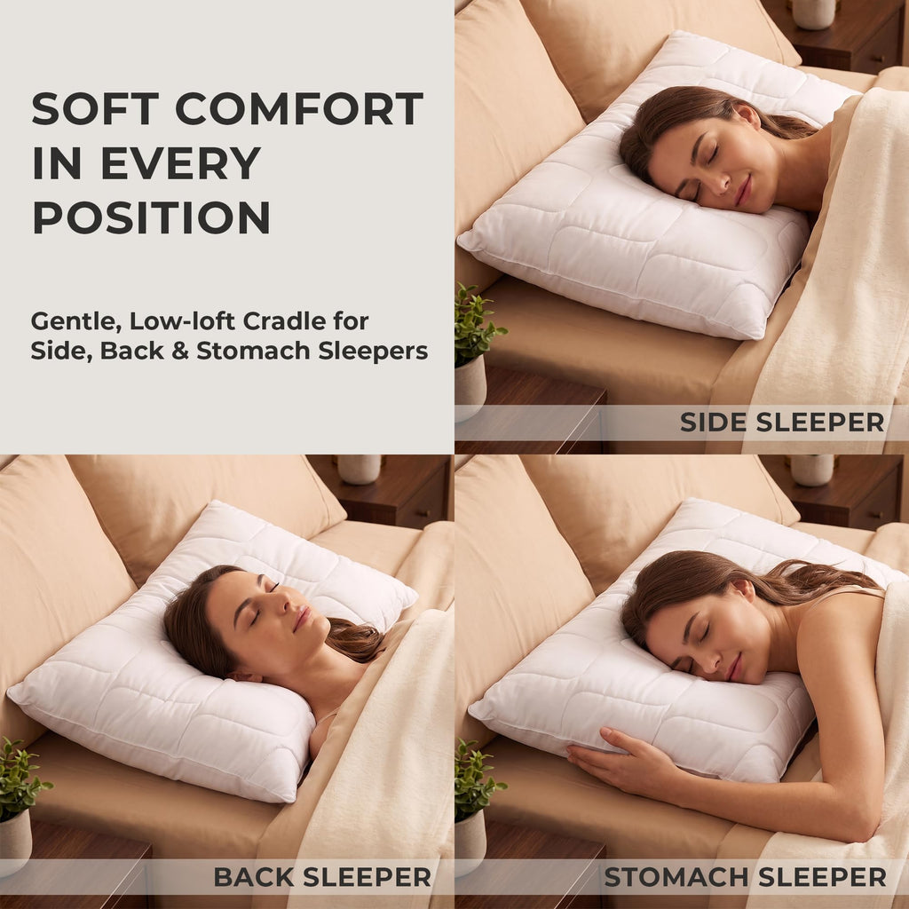 King Size White Cooling Down Alternative Pillows Set of 2 M845090
