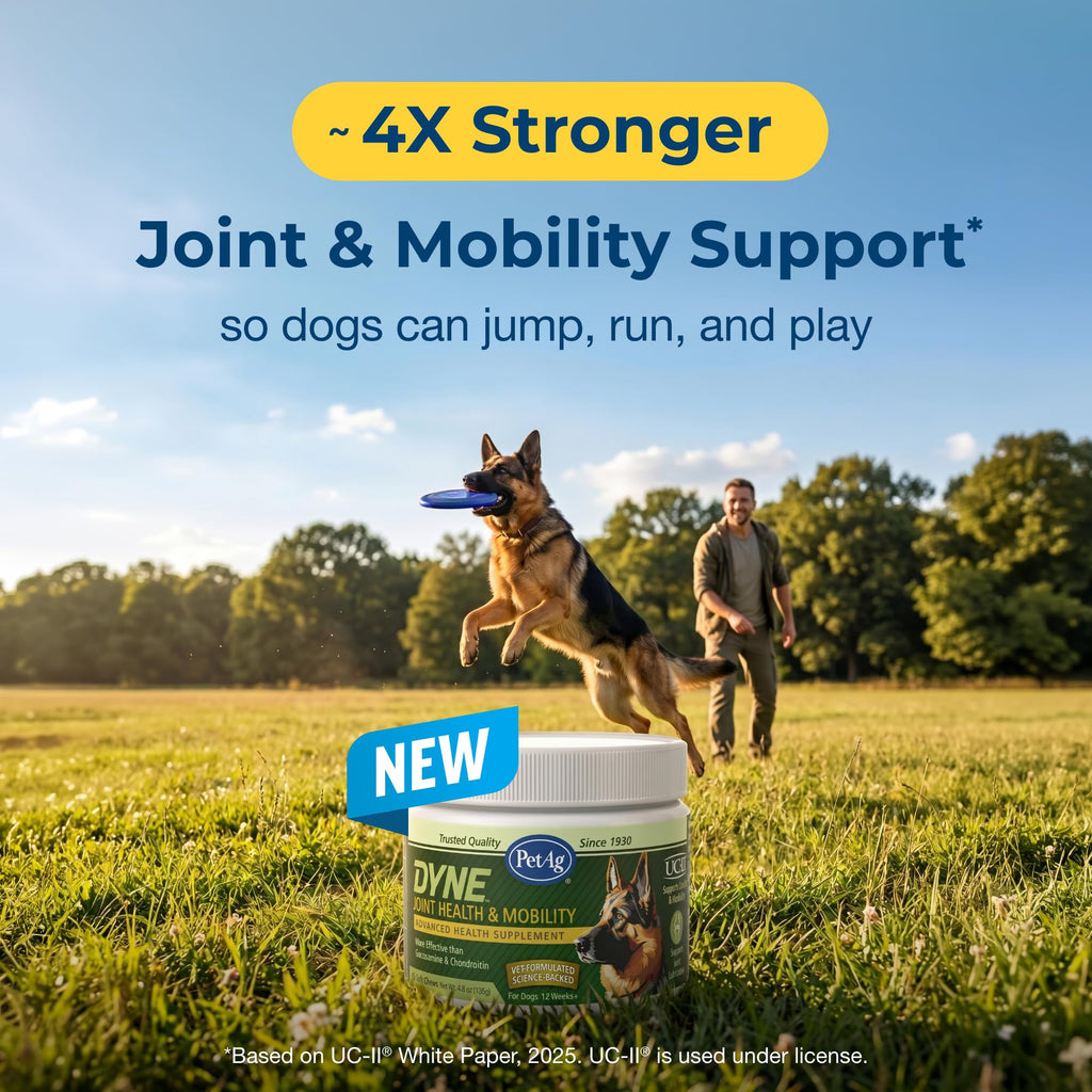 Joint Health & Mobility Soft Chews for Dogs 45 Count I58652