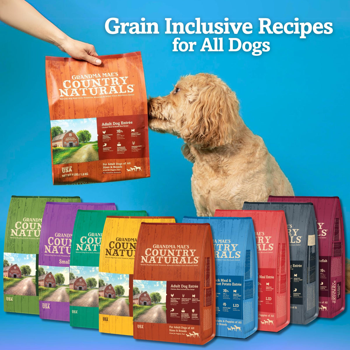 Chicken & Brown Rice Dry Dog Food 12 LB Bag R727