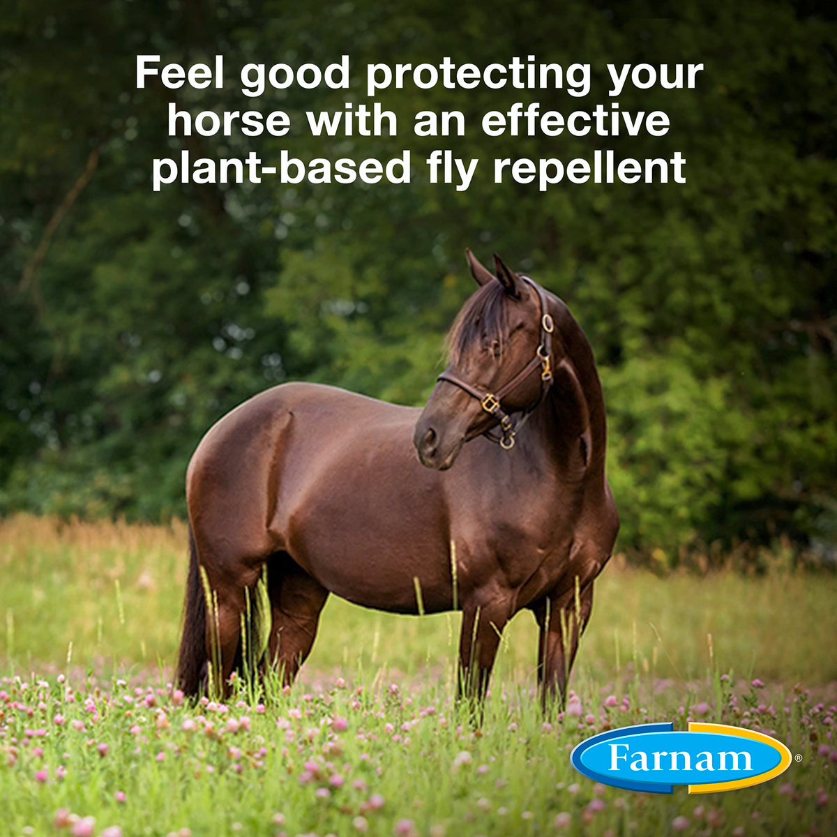 Botanical Fly Repellent 32 Ounces Spray Pack of 2 O8446