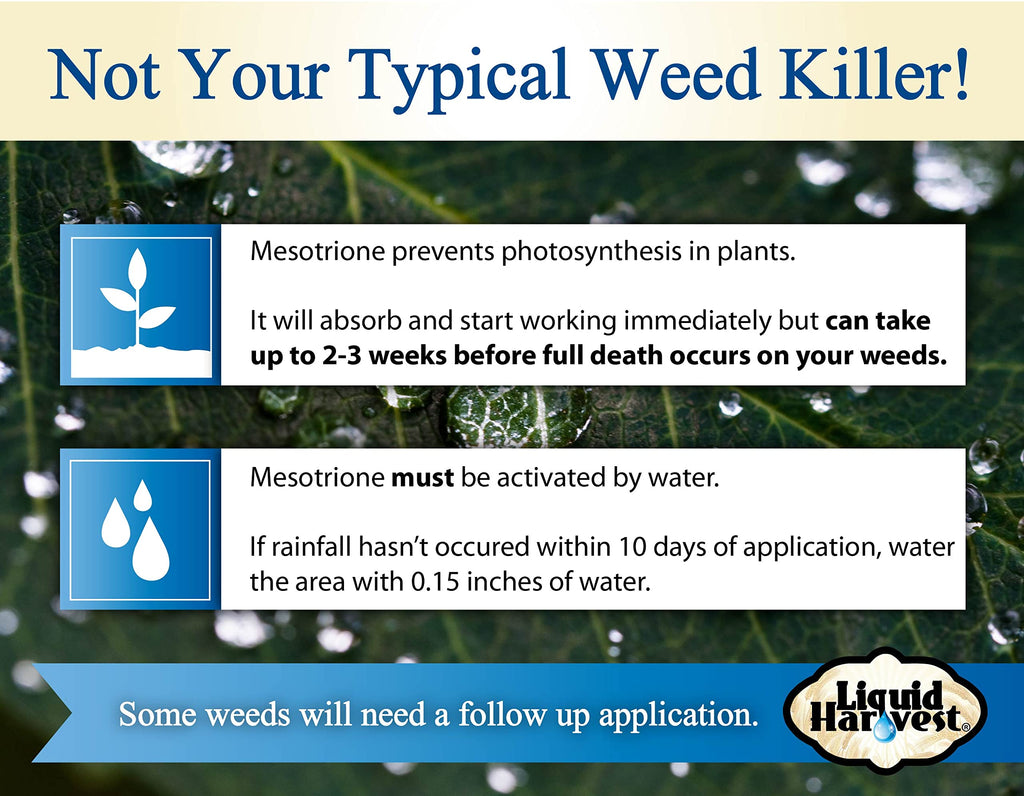 Non Ionic Surfactant 16oz and Mesotione 8oz Weed Killer V368981