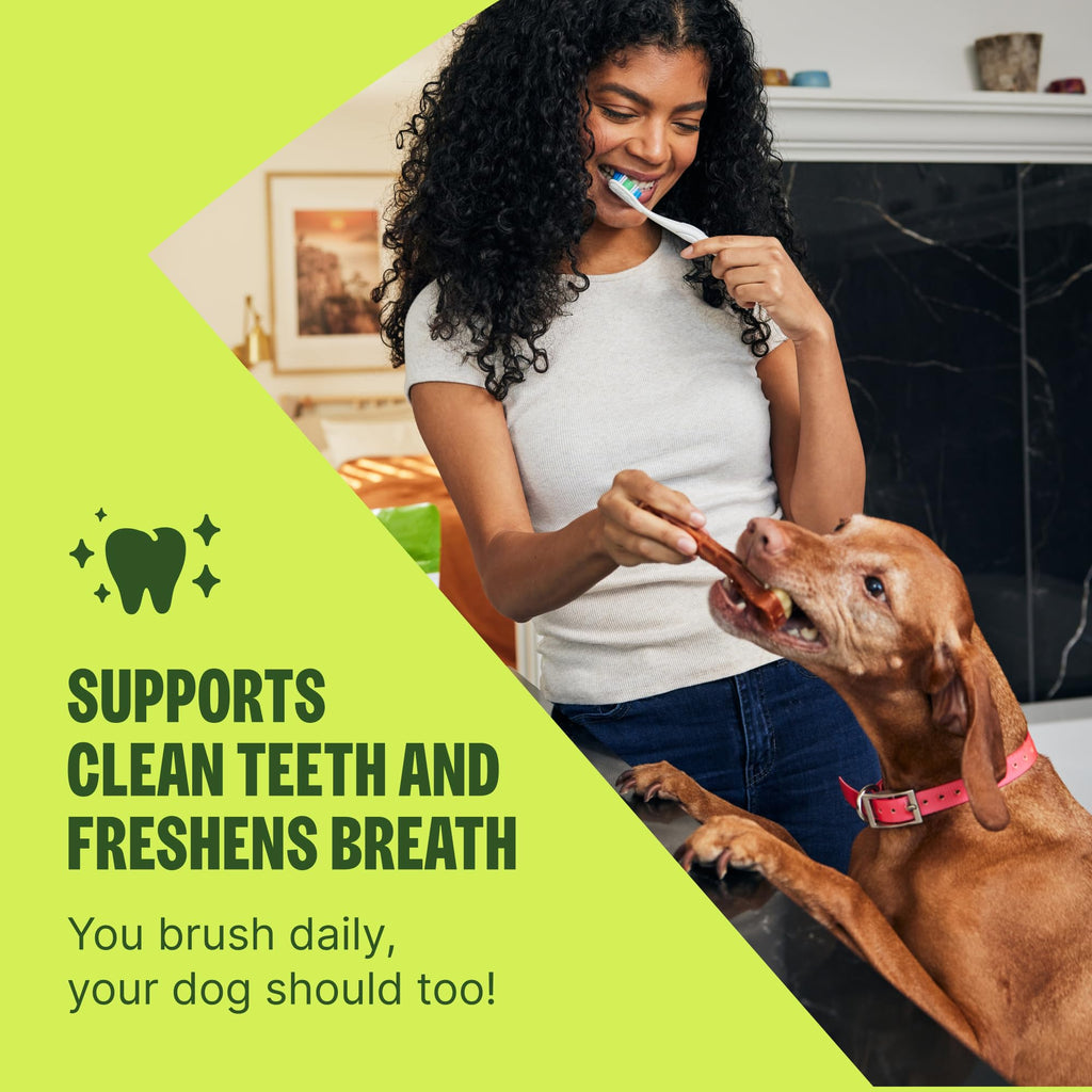 Natural Dog Dental Treat 12.7 oz 48 Count K693