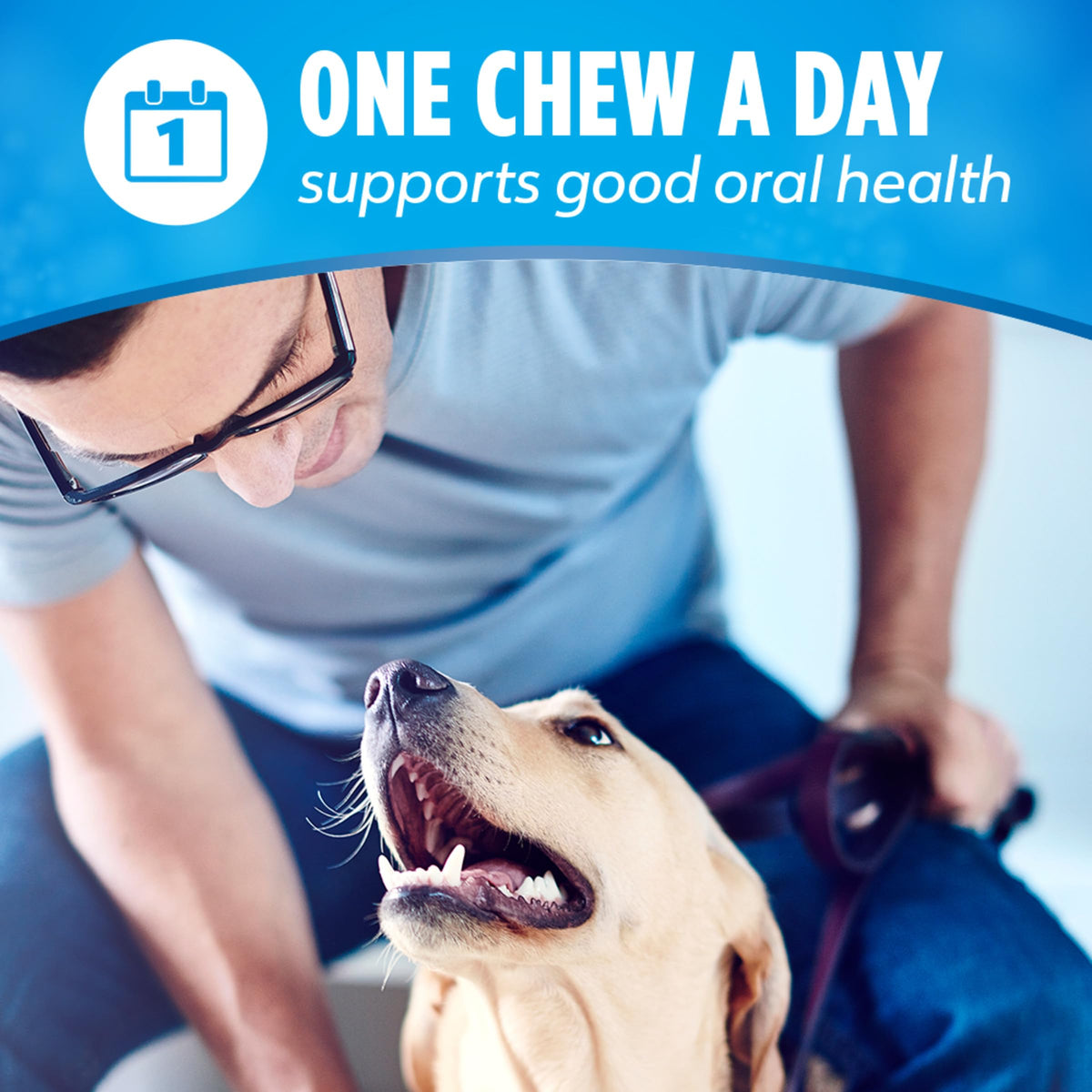 Daily Dental Chews for Large Dogs, 18 ct G734553