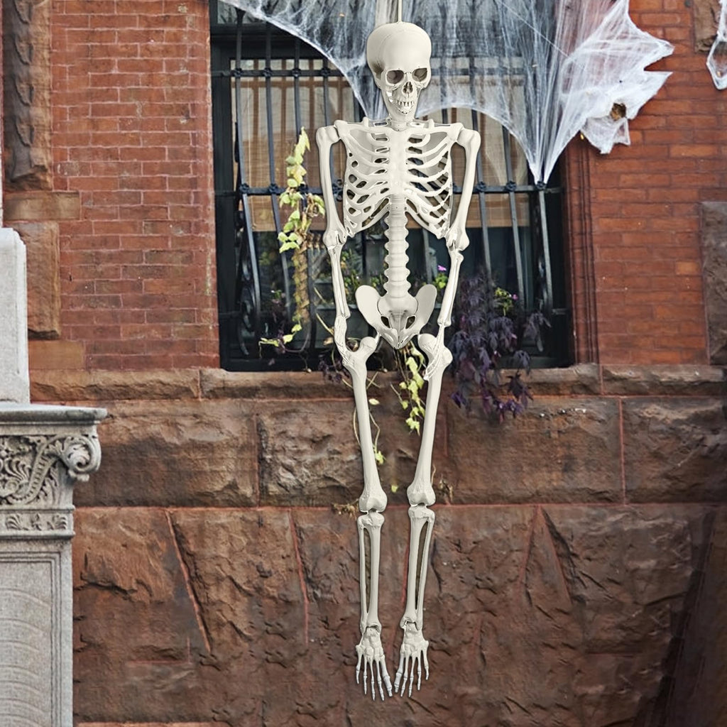 5.4FT Posable Skeleton A126
