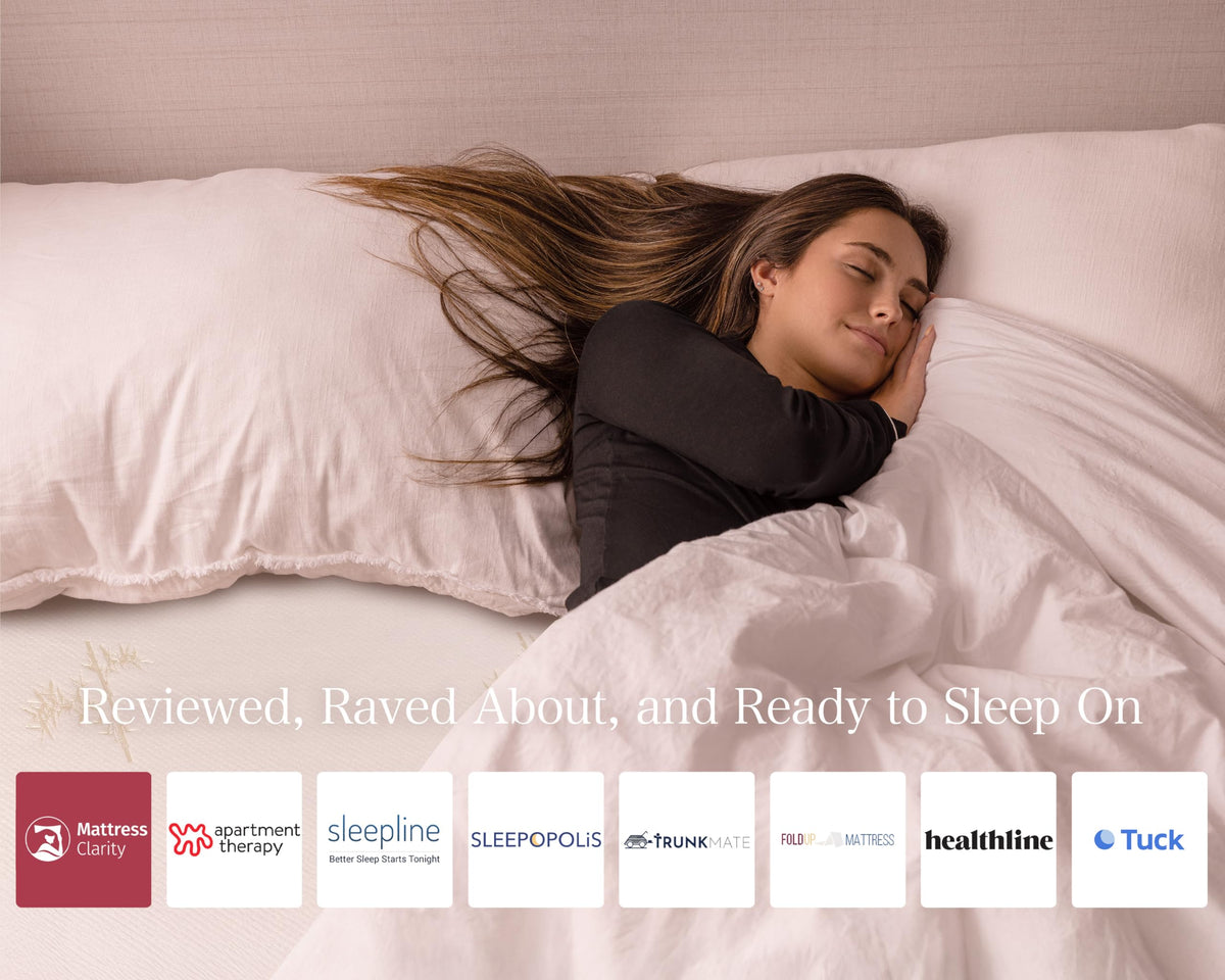 Queen Size 6 inch Memory Foam Trifold Mattress Q23444