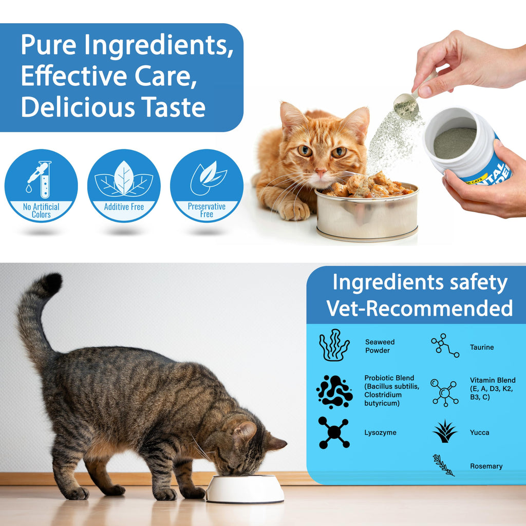 Cat Dental Powder D343914