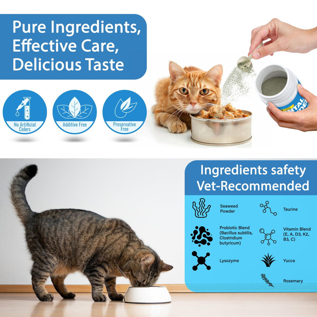 Cat Dental Powder D343914