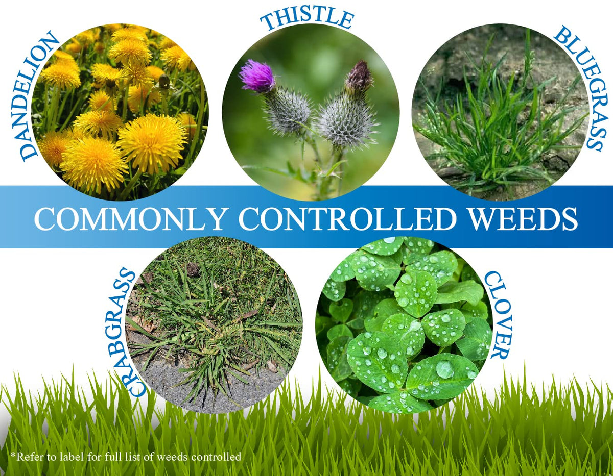 Non Ionic Surfactant 16oz and Mesotione 8oz Weed Killer V368981