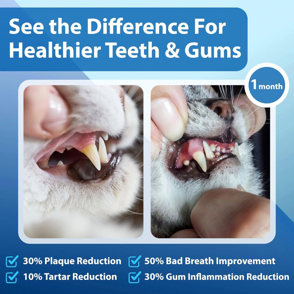 Cat Dental Powder D343914