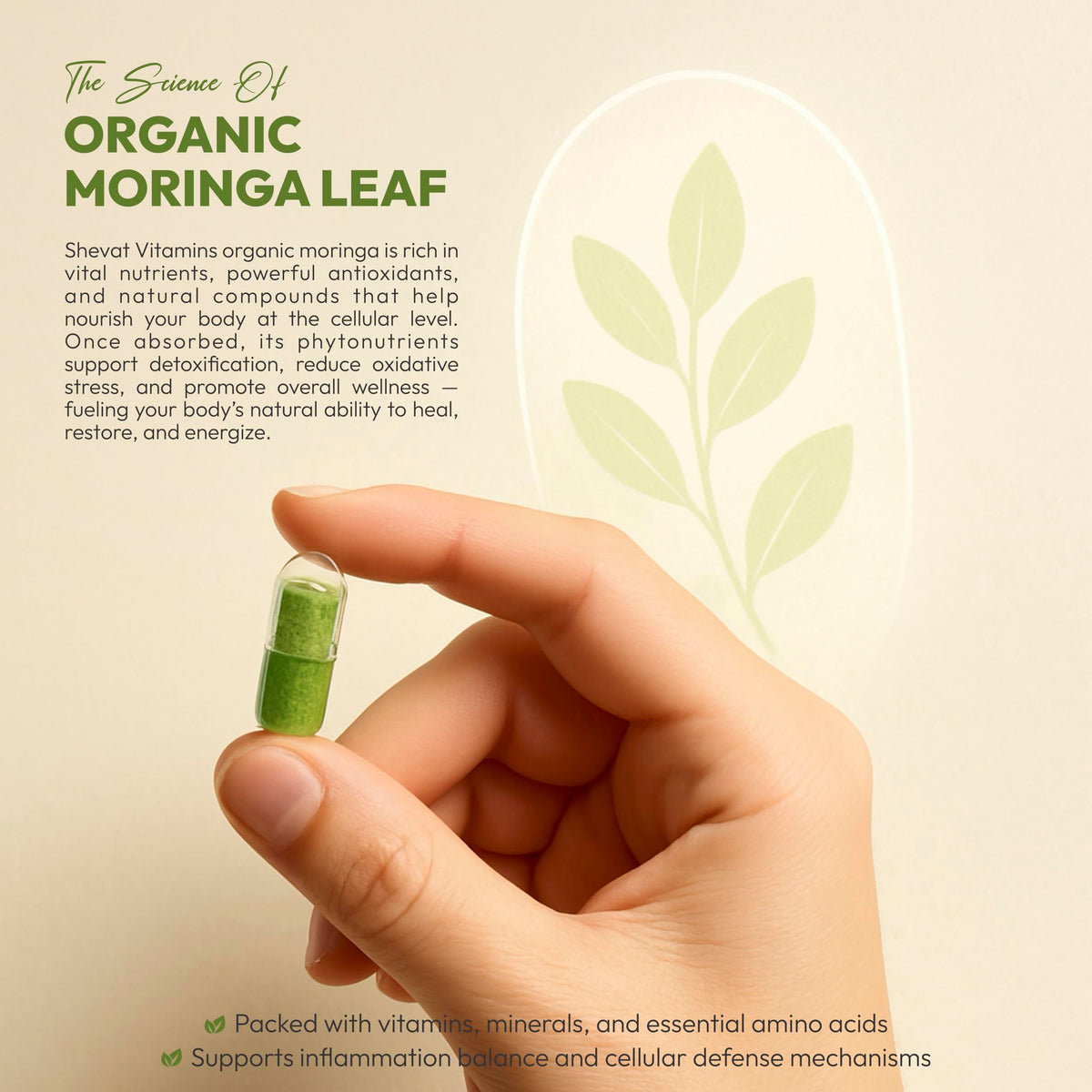 Organic Moringa Leaf Capsules 1000mg 90 Capsules L2849