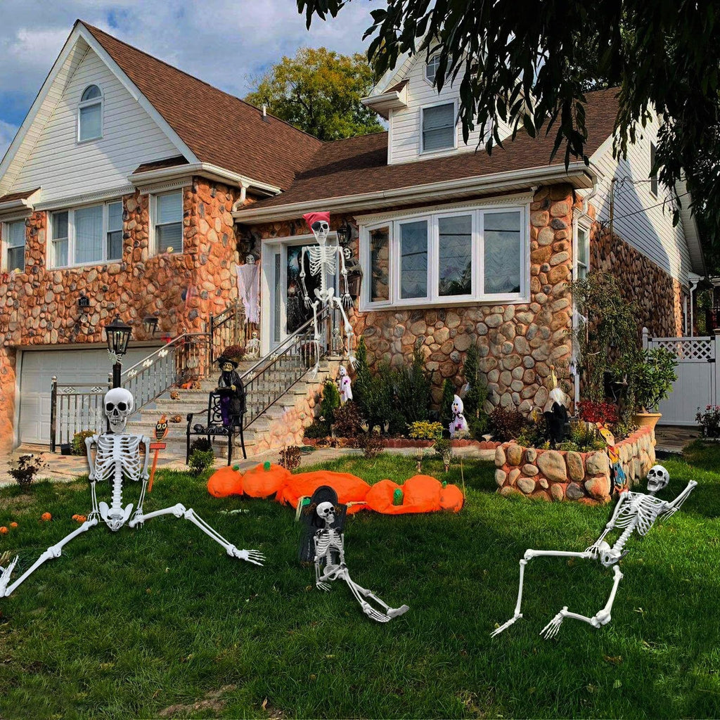 Life Size Skeleton with Posable Joints G9527