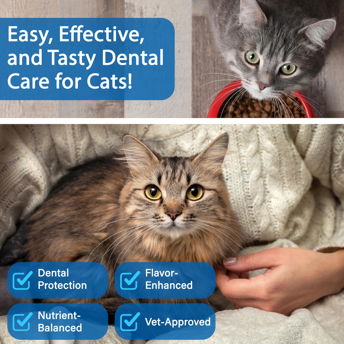 Cat Dental Powder D343914